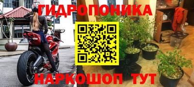 молекула духа Малоярославец