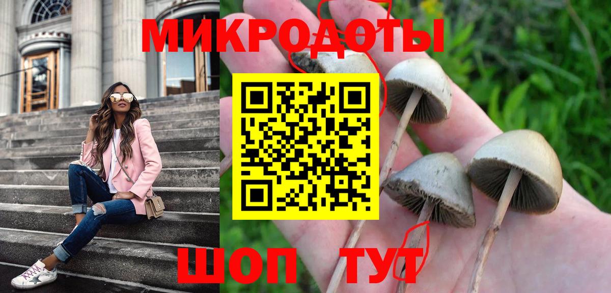 Псилоцибиновые грибы ЛСД Тобольск