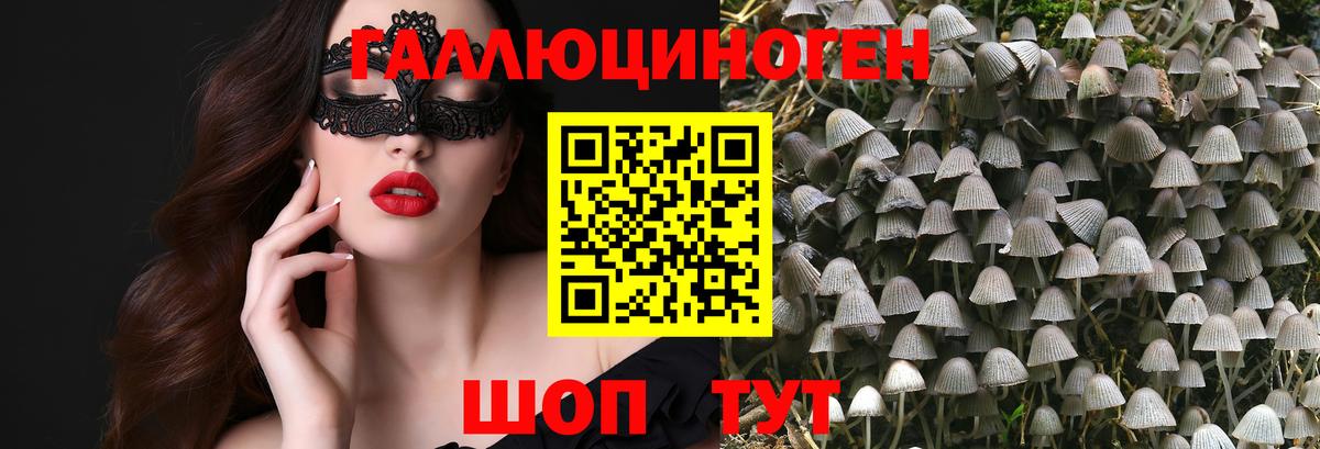 Галлюциногенные грибы ЛСД  наркотики  Тобольск  Вход с VPN 